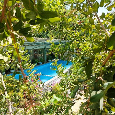 Silk Island Homestay Phnompenh Exteriér fotografie